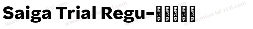 Saiga Trial Regu字体转换